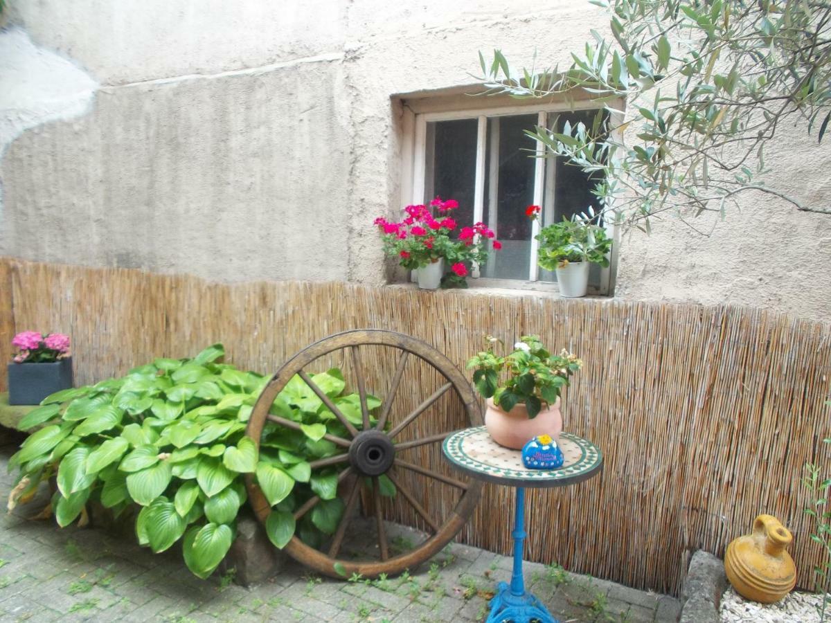 Ferienwohnungen Pension Aurora Kappel-Grafenhausen Εξωτερικό φωτογραφία