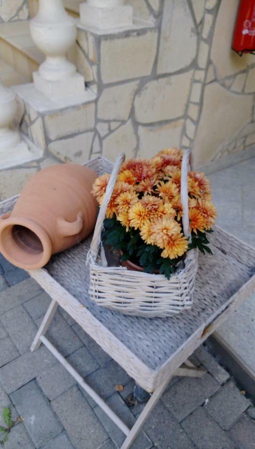 Ferienwohnungen Pension Aurora Kappel-Grafenhausen Εξωτερικό φωτογραφία